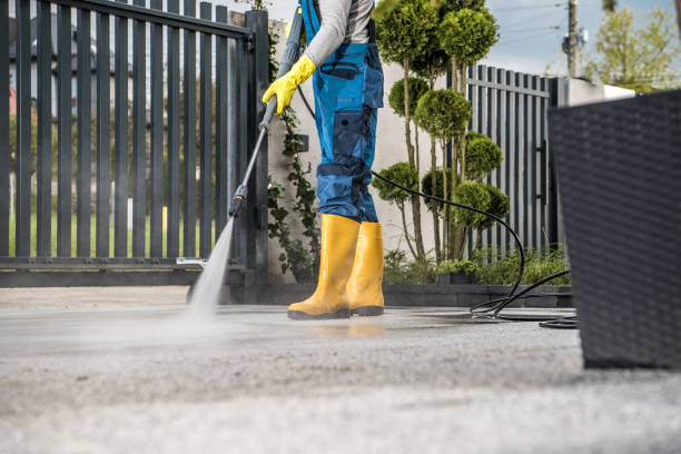 Best Animal Enclosure Cleaning  in Town Line, NY